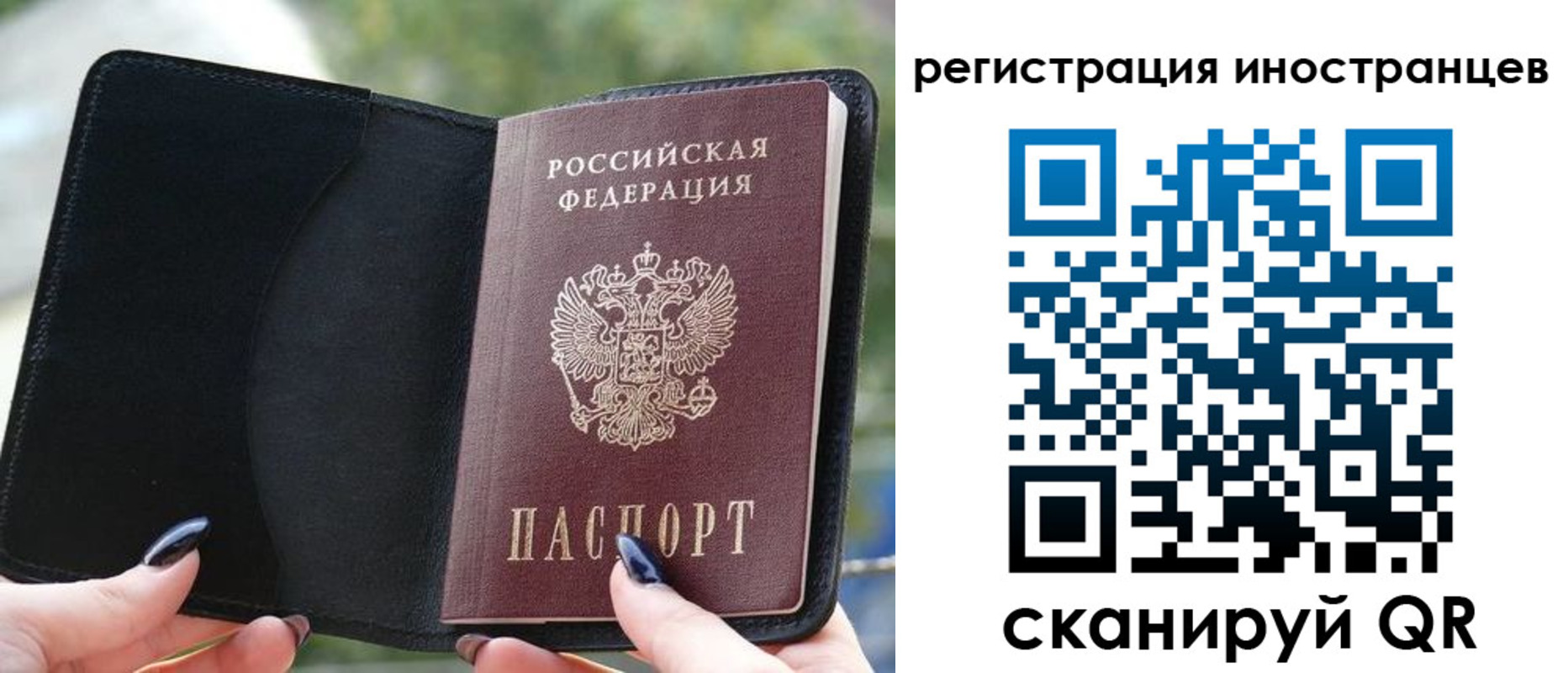 найти адрес прописки в Тихорецке